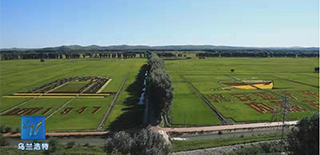 烏蘭浩特融媒體中心社會責任報告（2021年度）